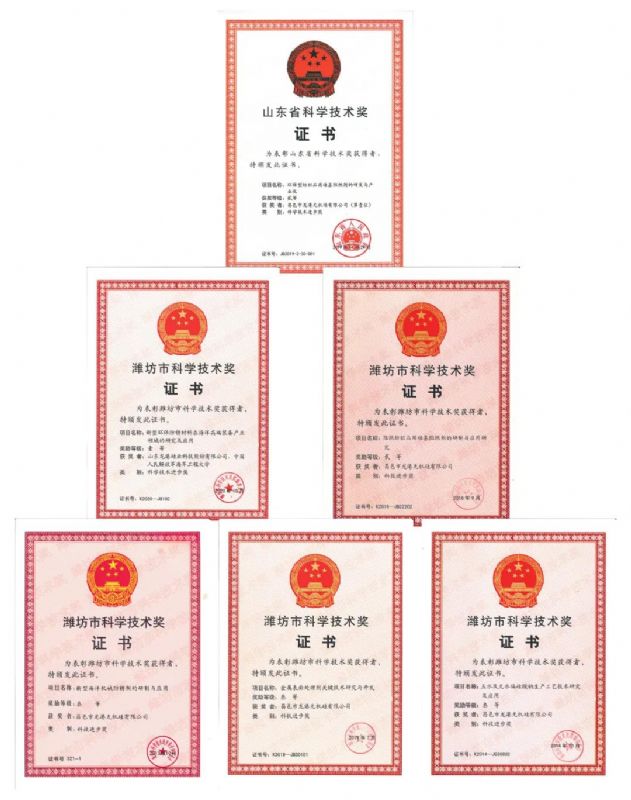 [good news] Longgang silicon Co., Ltd. won the first prize of Weifang Science and Technology Progress Award！