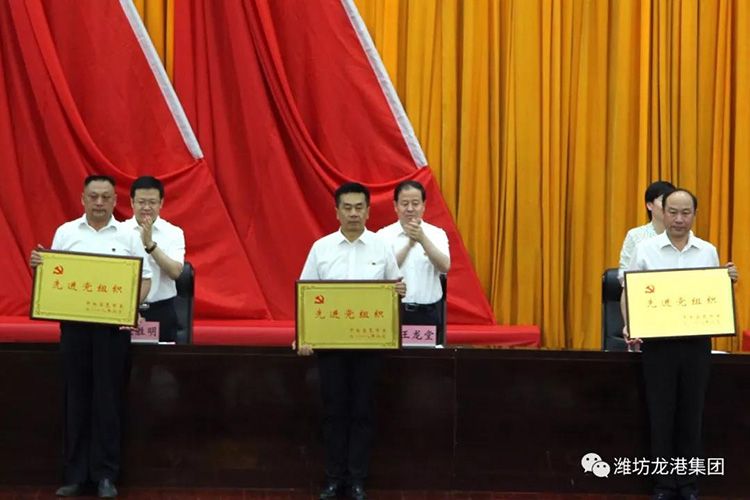 山東龍港硅業科技股份有限公司黨支部喜獲“昌邑市先進黨組織”榮譽稱號