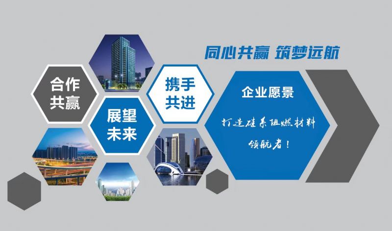 喜報｜龍港硅業又獲一項省級“硬核”獎！